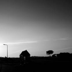 We Deserve This : In Order to Survive